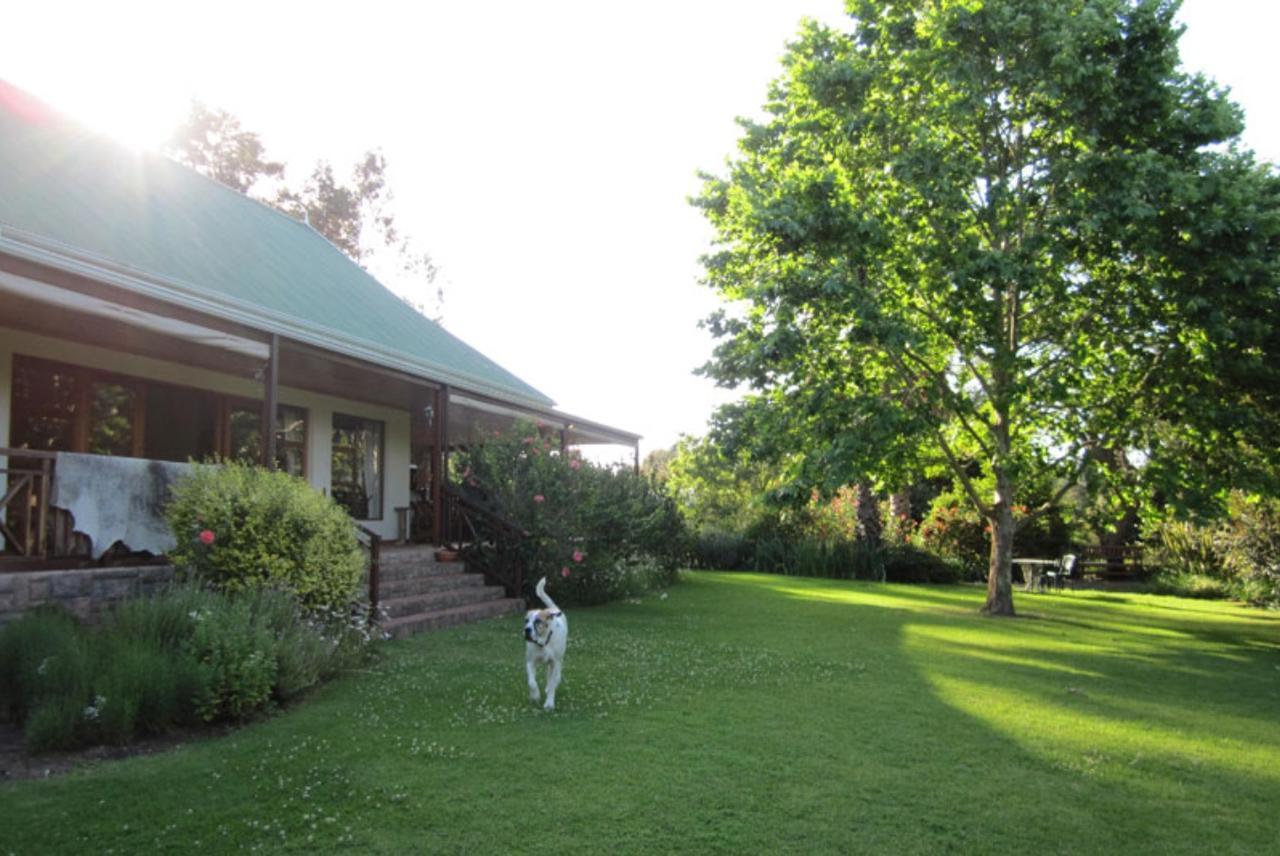 Forest Glen Bed & Breakfast นิสนา ภายนอก รูปภาพ